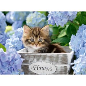 Puzzle Pisicuta Intre Flori, 300 Piese - RVSPC12894