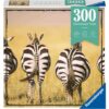 Puzzle Zebre In Savana, 300 Piese - RVSPA13312