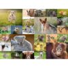 Puzzle Pui De Animale, 200 Piese - RVSPC13353