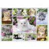 Puzzle Pisicute In Cos, 500 Piese - RVSPA14196