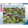Puzzle 99 De Plante Si Condimente, 1000 Piese - RVSPA15991