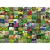 Puzzle 99 De Plante Si Condimente, 1000 Piese - RVSPA15991
