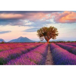Puzzle Camp De Lavanda, 1000 Piese - RVSPA16724