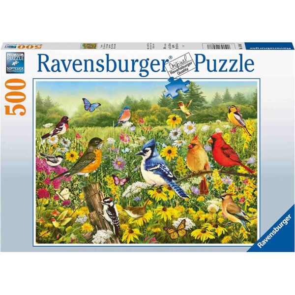 Puzzle Pasarele Colorate, 500 Piese - RVSPA16988