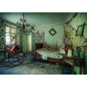 Puzzle Camera Parasita, 1000 Piese - RVSPA17360