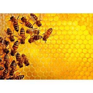 Puzzle Provocare Albine Si Fagure, 1000 Piese - RVSPA17362