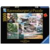 Puzzle Colaj Coasta De Vest, 1000 Piese - RVSPA17469