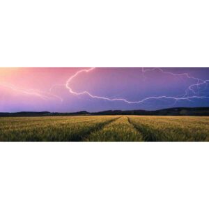 Puzzle Panorama Fulger, 500 Piese - RVSPA17491