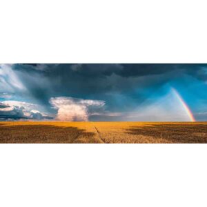 Puzzle Panorama Curcubeu, 1000 Piese - RVSPA17493