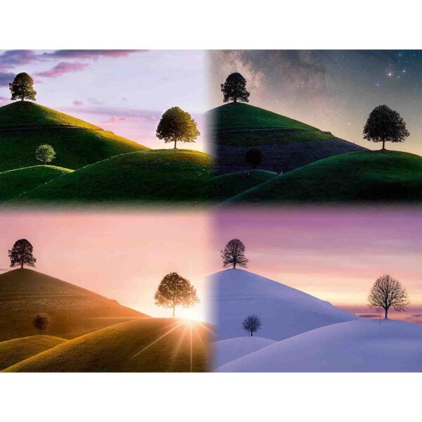 Puzzle Anotimpuri, 2000 Piese - RVSPA17443