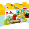 LEGO DUPLO - Gradina organica 10984, 43 piese