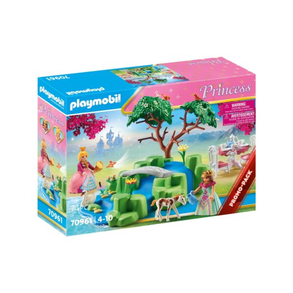PICNICUL PRINTESELOR - PM70961