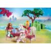 PICNICUL PRINTESELOR - PM70961
