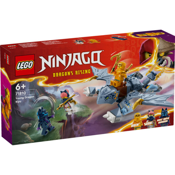 71810-lego-ninjago-1 LEGO Ninjago - Tanarul dragon Riyu 71810, 132 piese
