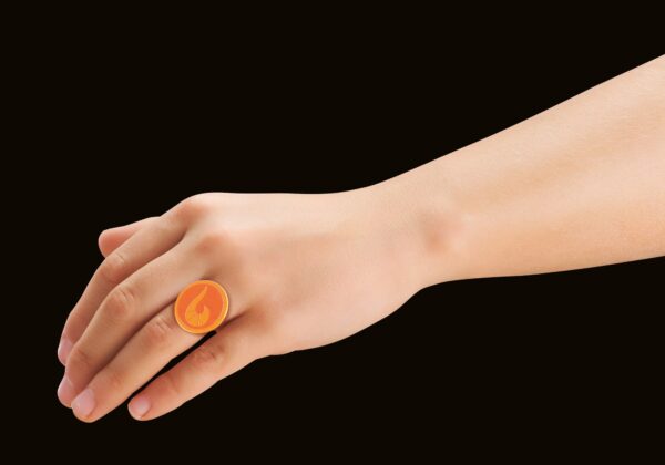 Playmobil-MIRACULOUS RENA ROUGE - PM71339