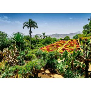 Puzzle gradina botanica Madeira 1000 piese - RVSPA00853