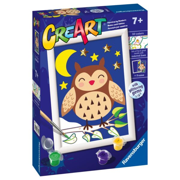 Pictura pe numere bufnita draguta - RVSPBN23661