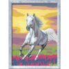 Pictura pe numere cal la apus - RVSPBN23663