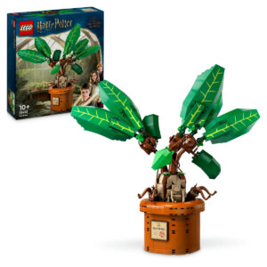 LEGO Harry Potter - Matraguna 76433, 579 piese