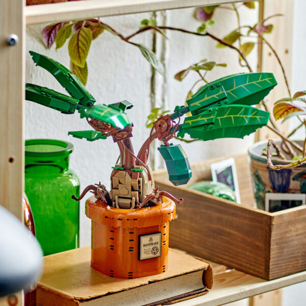 LEGO Harry Potter - Matraguna 76433, 579 piese