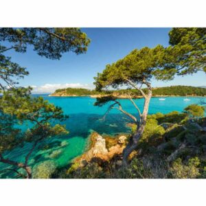Ravensburger - Puzzle priveliste superba 500 piese design nou - RVSPA00219