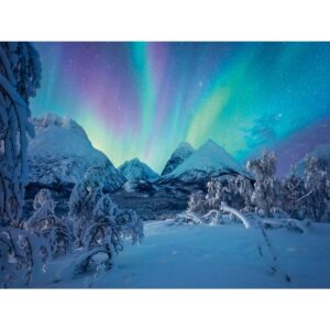 Ravensburger - Puzzle spectacol arctic 1500 piese - RVSPA00802