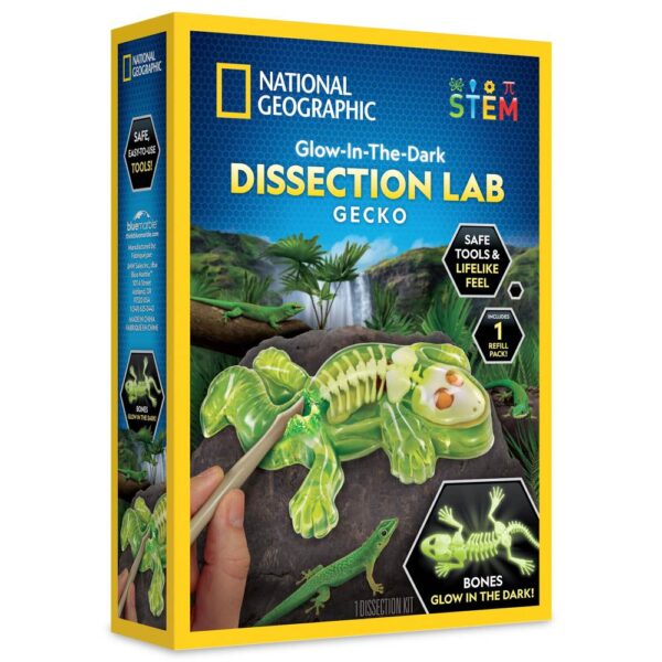 National Geographic - Kit creativ laborator de disectie soparla - NG23036