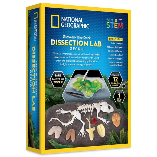 National Geographic - Kit creativ laborator de disectie soparla - NG23036