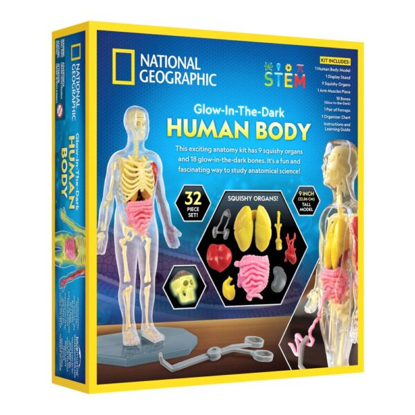 RT_HUMBODY_BS_BACKRIGHT National Geographic - Kit creativ stiinta corpului uman - NG23050
