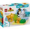 LEGO DUPLO - Familii de animale salbatice: Pinguini si lei 10442, 10 piese
