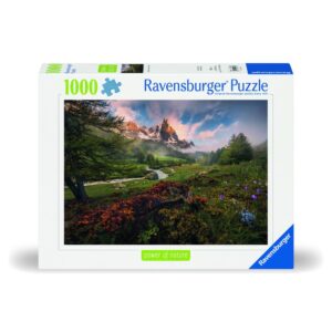 Ravensburger - Puzzle peisaj vale de munte 1000 piese design nou - RVSPA00074
