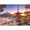 Ravensburger - Puzzle Fuji ciresi infloriti 1000 piese design nou - RVSPA00582