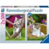 Ravensburger - Puzzle pisicute 2x500 piese - RVSPA00232