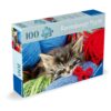 Ravensburger - Puzzle pentru varstnici pisicuta cu sablon de imagine si suport din carton 100 piese mari XL - RVSPA01363