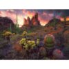 Ravensburger - Puzzle cactusi 500 piese - RVSPA01380