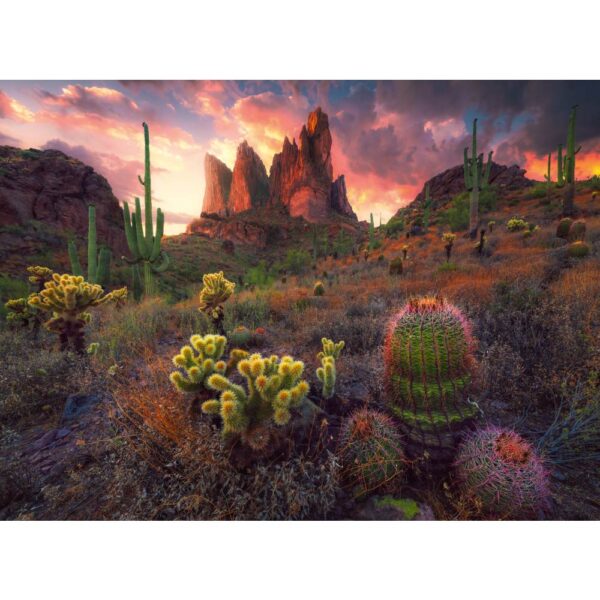 Ravensburger - Puzzle cactusi 500 piese - RVSPA01380
