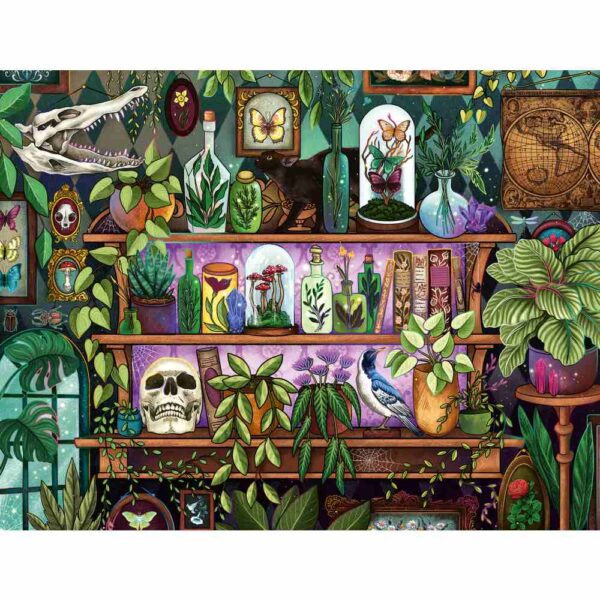 Ravensburger - Puzzle raftul vrajitoarei 2000 piese - RVSPA01416