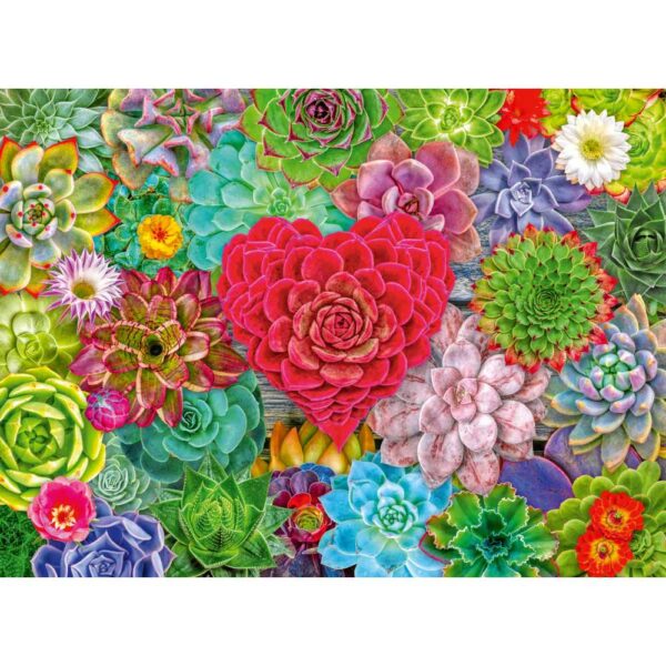 Ravensburger - Puzzle plante suculente 500 piese - RVSPA01469