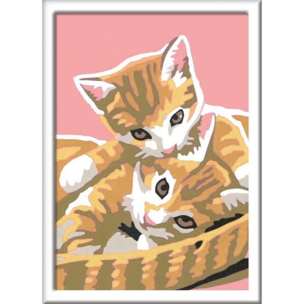 Ravensburger - CreArt pictura pe numere pentru copii pisicute dragalase - RVSPBN20205