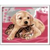 Ravensburger - CreArt pictura pe numere pentru copii catelus si pisicuta pe patura - RVSPBN20210