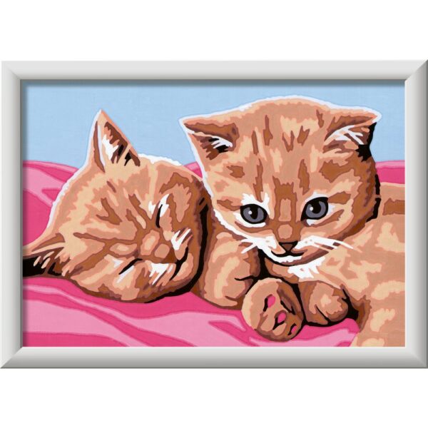 Ravensburger - CreArt pictura pe numere pentru copii pisicute prietene - RVSPBN23562