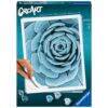 4005556236107_FRONT_3D Ravensburger - CreArt pictura pe numere pentru adulti planta suculenta albastra - RVSPBN23610