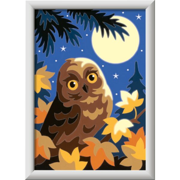 Ravensburger - CreArt pictura pe numere pentru copii bufnita care straluceste in intuneric - RVSPBN23711