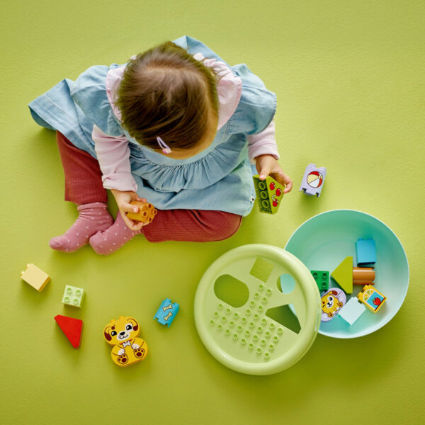 LEGO DUPLO - Sortator de forme: casă pentru căţei 10441, 17 piese