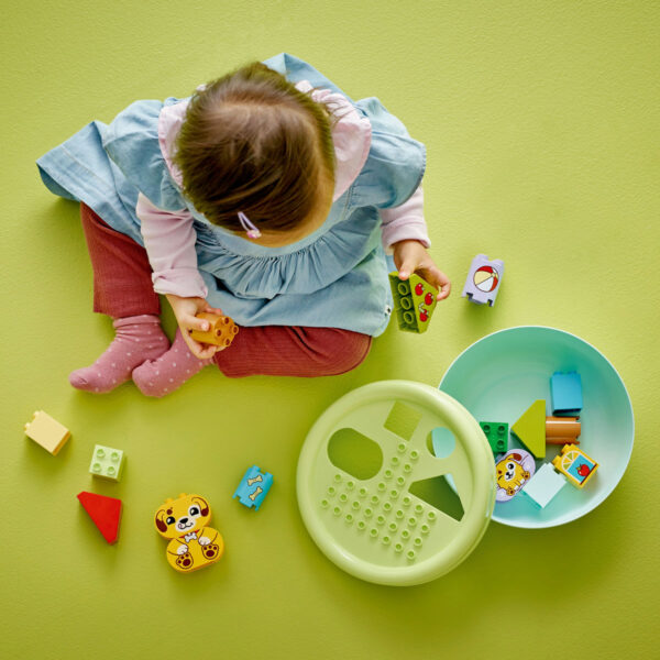 LEGO DUPLO - Sortator de forme: casă pentru căţei 10441, 17 piese