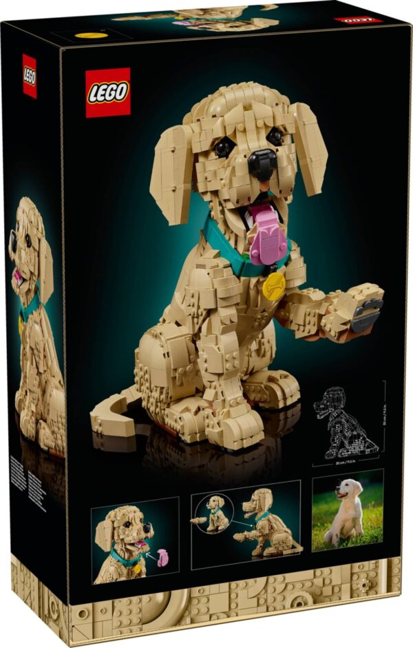 LEGO Icons (Creator Expert) 11384 - Golden Retriever