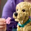 LEGO Icons (Creator Expert) 11384 - Golden Retriever