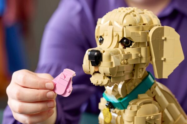 LEGO Icons (Creator Expert) 11384 - Golden Retriever