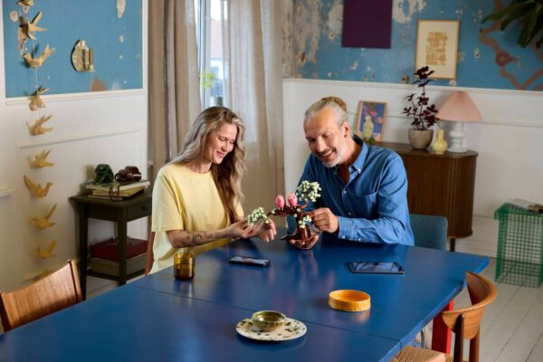 Lego Ideas 21365 - Pasarele indragostite, 750 piese