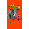 Playmobil - Promo Pack Ingrijitor zoo cu elefant - PM72068